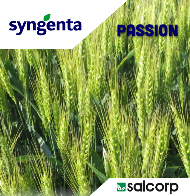 SYNGENTA FALADO